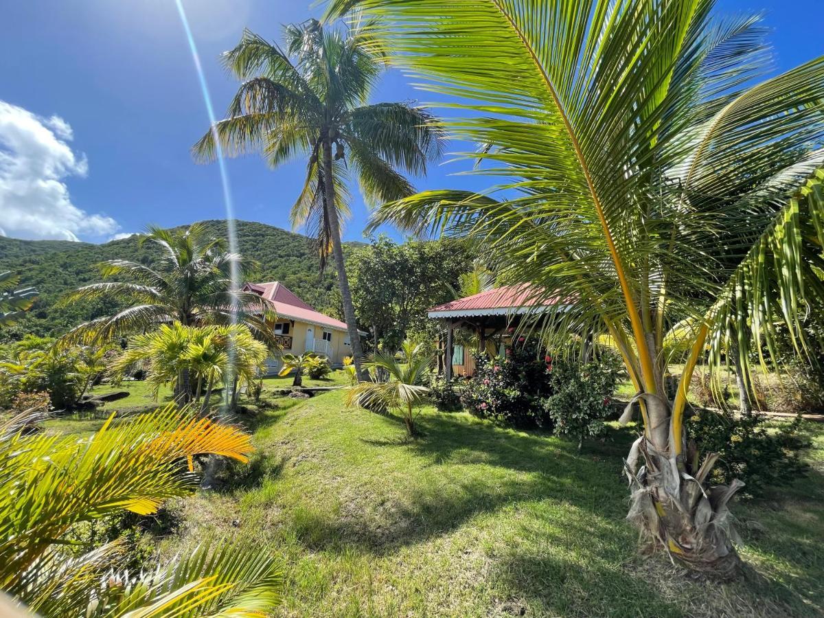 Résidence COCO D'ILES, Gite TI BAMBOU Terre-de-Bas Exterior foto